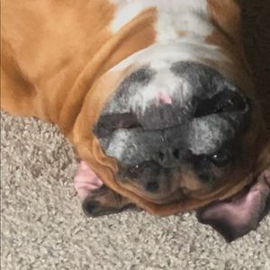 Meet your Posher, Tracy